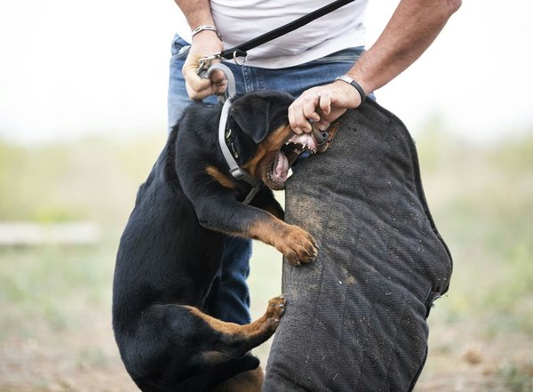 Comment configurer un mode enfants sur un iPad pour un usage sécurisé par les enfants?